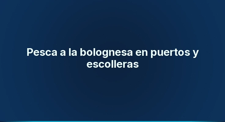 Pesca a la bolognesa en puertos y escolleras