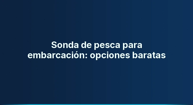 Sonda de pesca para embarcación: opciones baratas